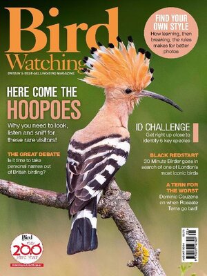 cover image of Bird Watching 